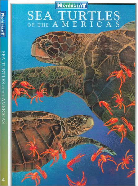 Sea Turtles-WEEKEND NATURALIST Field Guide