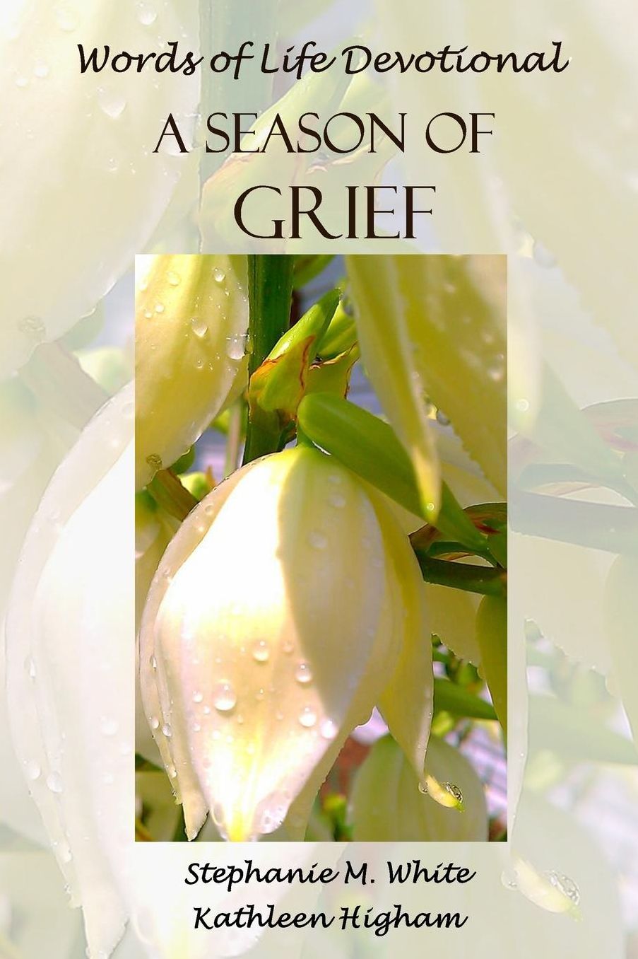 A Season of Grief: Words of Life Devotional