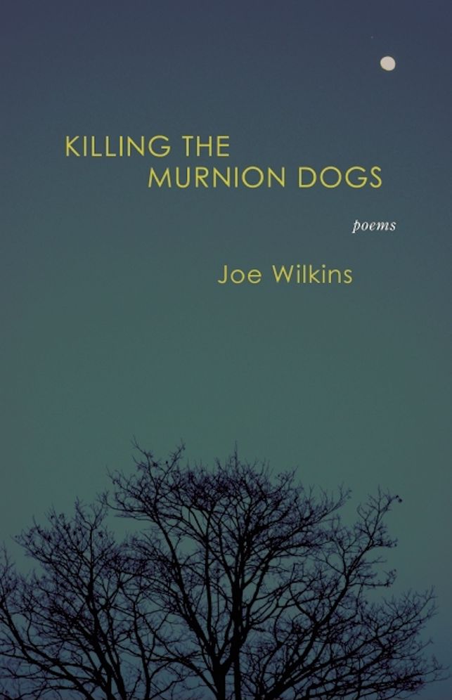 Killing the Murnion Dogs