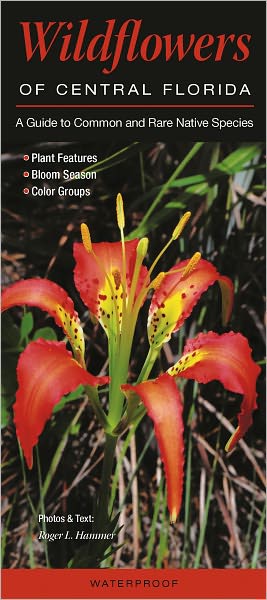 Wildflowers of Central Florida: A Guide to Common and Rare Native Species