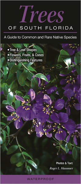 Trees of South Florida: A Guide to Common and Rare Native Species