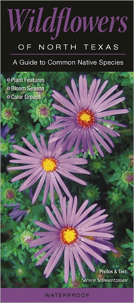Wildflowers of North Texas: A Guide to Common Native Species