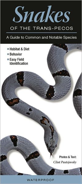 Snakes of the Trans-Pecos: A Guide to Common and Notable Species