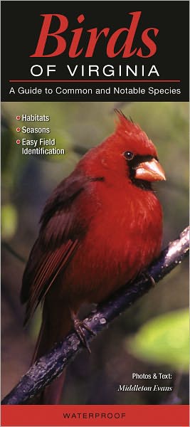 Birds of Virginia: A Guide to Common and Notable Species
