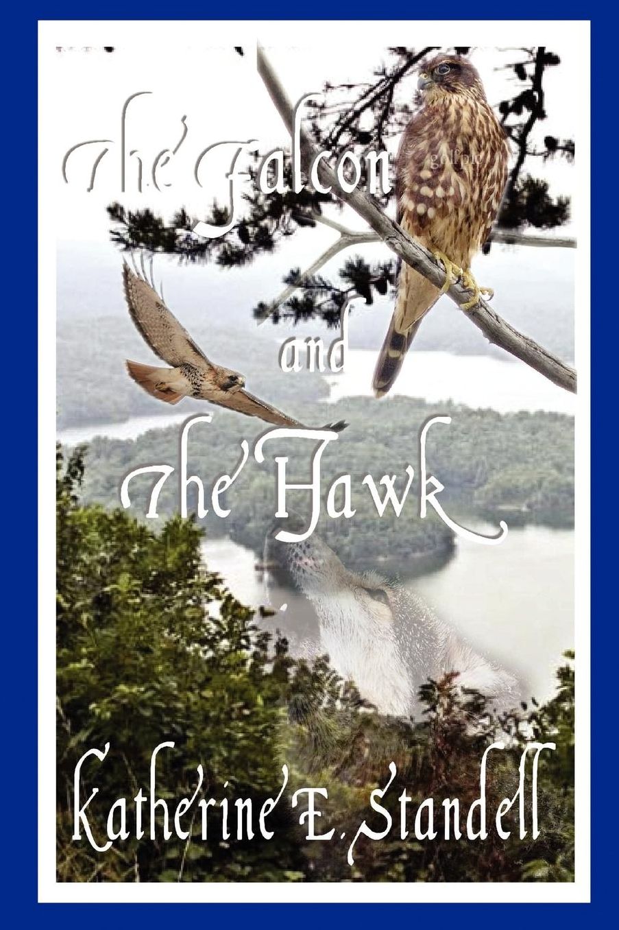 The Falcon And The Hawk