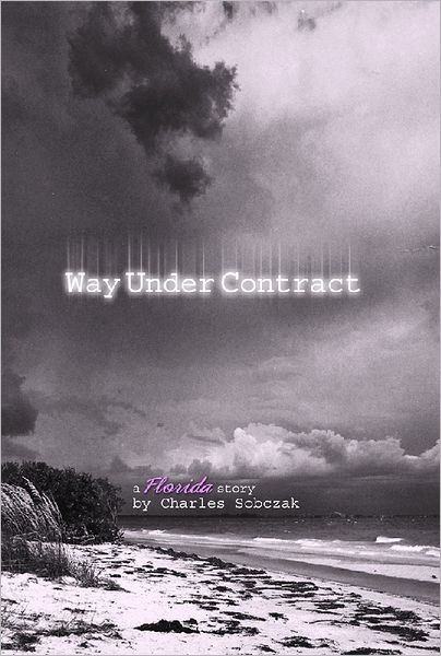 Way Under Contract - A Florida Story