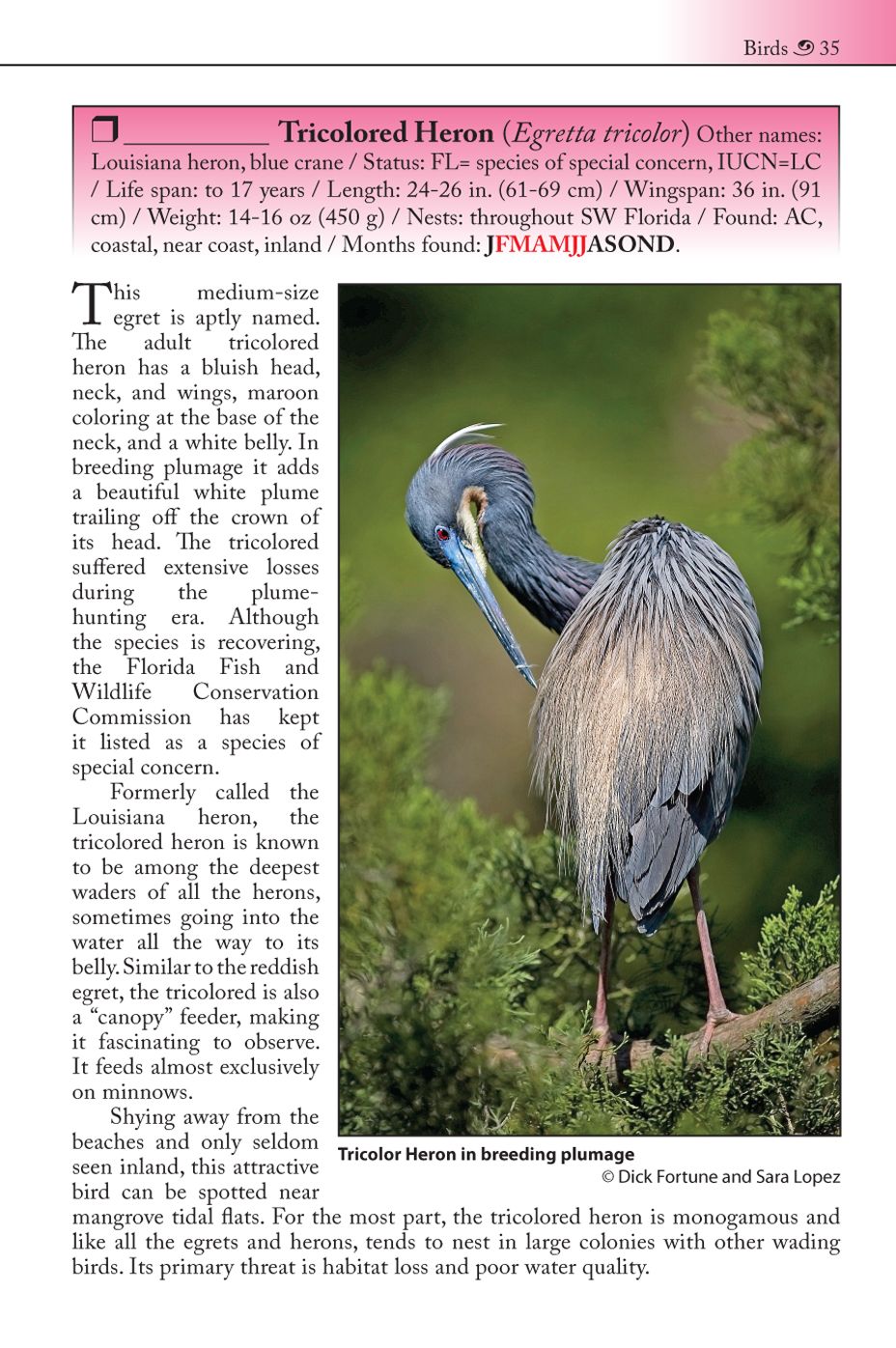 The Living Gulf Coast: A Nature Guide to Southwest Florida