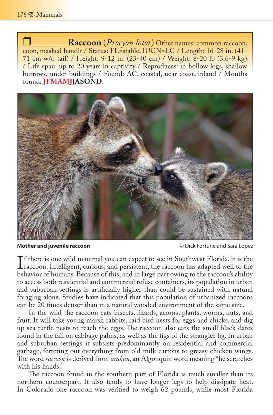 The Living Gulf Coast: A Nature Guide to Southwest Florida