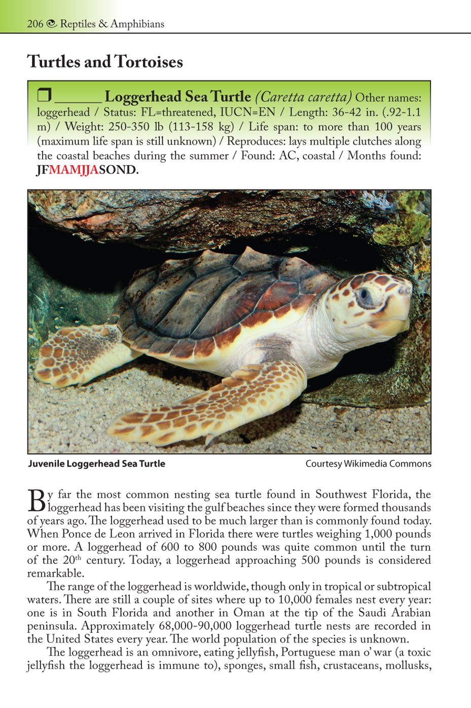 The Living Gulf Coast: A Nature Guide to Southwest Florida