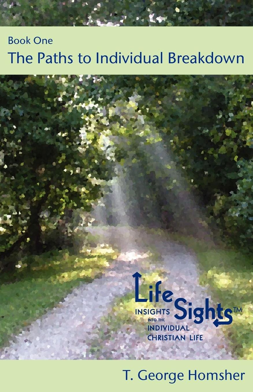LifeSights Book One the Paths to Individual Breakdown