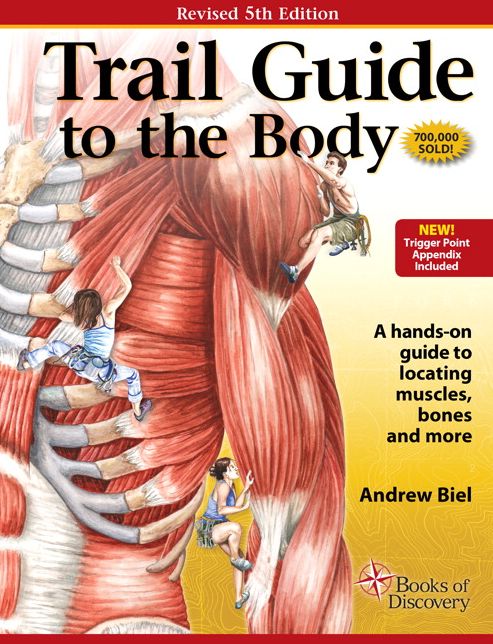 Trail Guide to the Body : How to Locate Muscles, Bones, and More