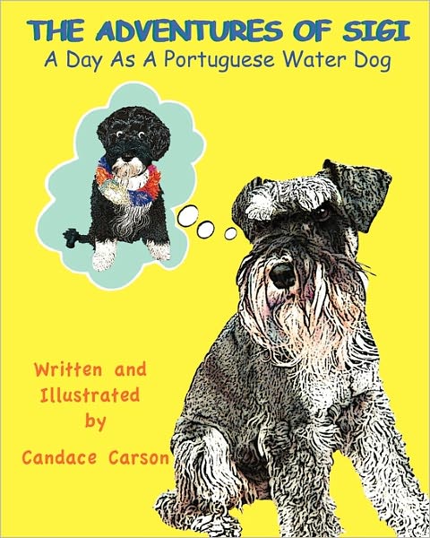 The Adventures Of Sigi-A Day As A Portuguese Water Dog