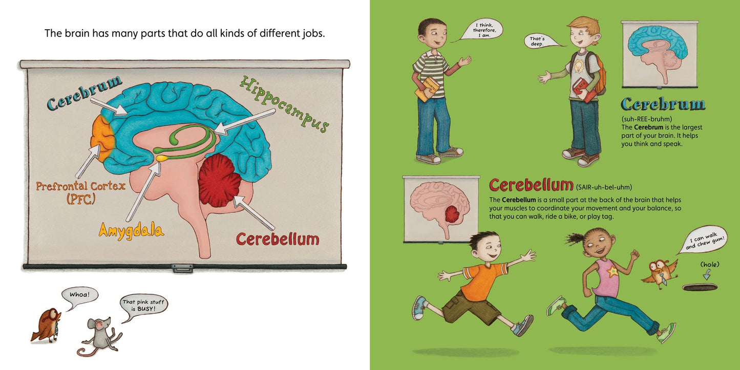 Your Fantastic Elastic Brain Stretch It, Shape It