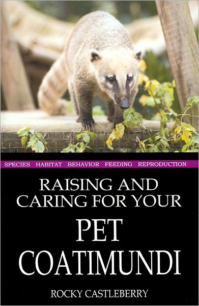 Raising and Caring for Your Pet Coatimundi