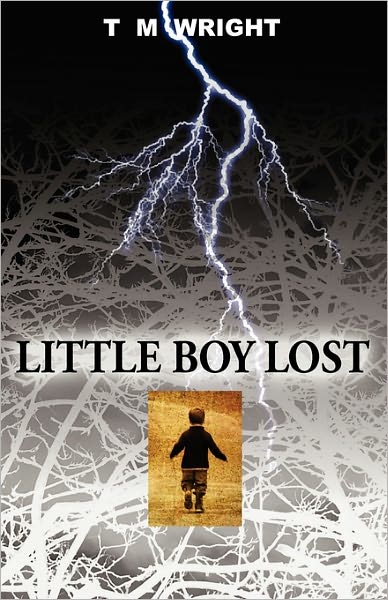 Little Boy Lost