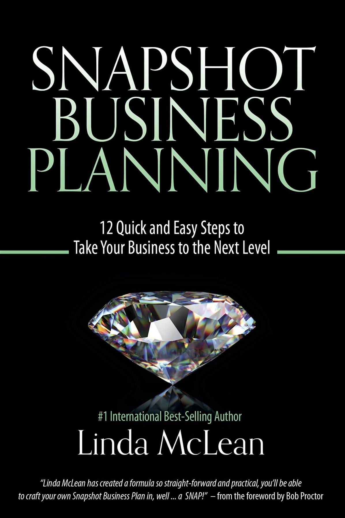 Snapshot Business Planning: 12 Quick and Easy Steps to Take Your Business to the Next Level
