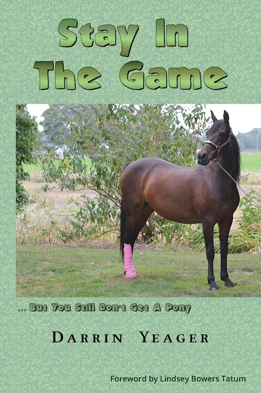 Stay in the Game: But You Still Don't Get a Pony