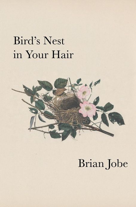 Birds Nest In Your Hair