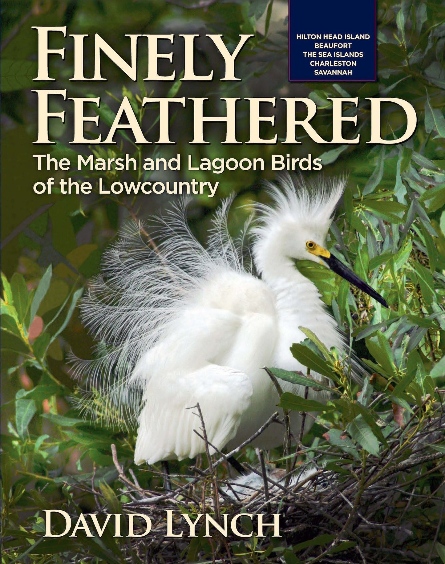 Finely Feathered: The Marsh and Lagoon Birds of the Lowcountry