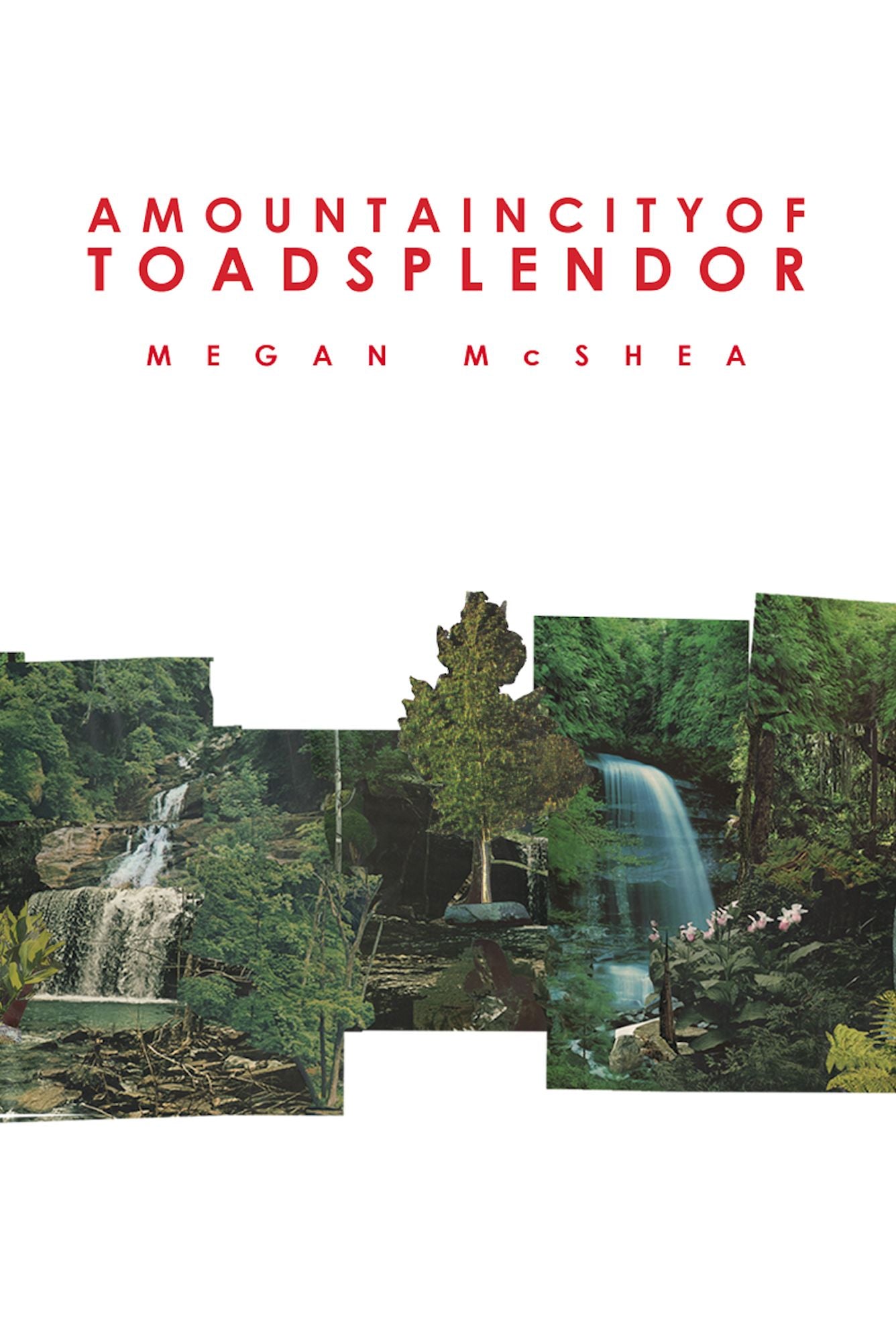 A Mountain City of Toad Splendor
