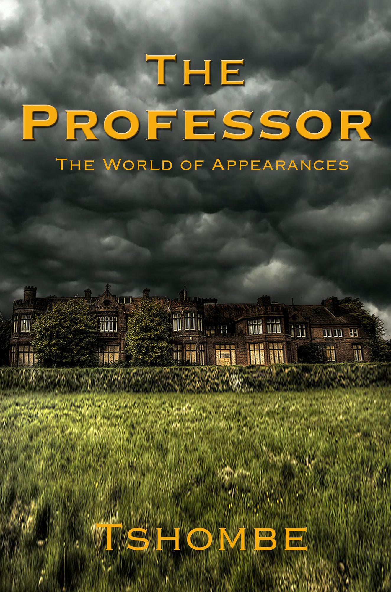 The Professor