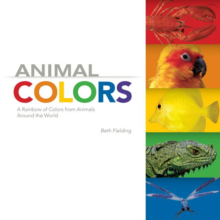 Animal Colors: A Rainbow of Colors from Animals Around the World