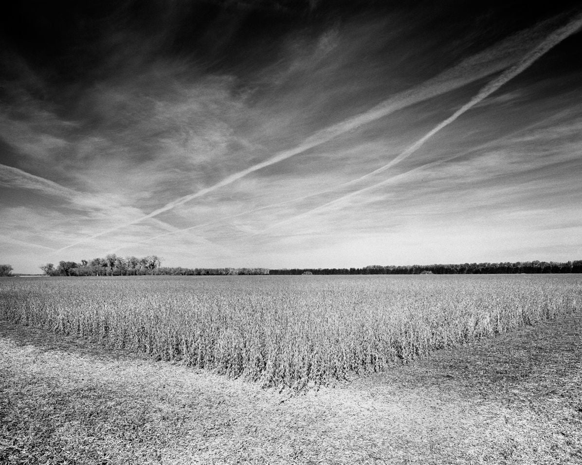 Sarah Christianson: Homeplace