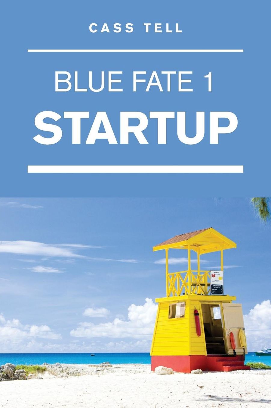 Startup (Blue Fate #1)