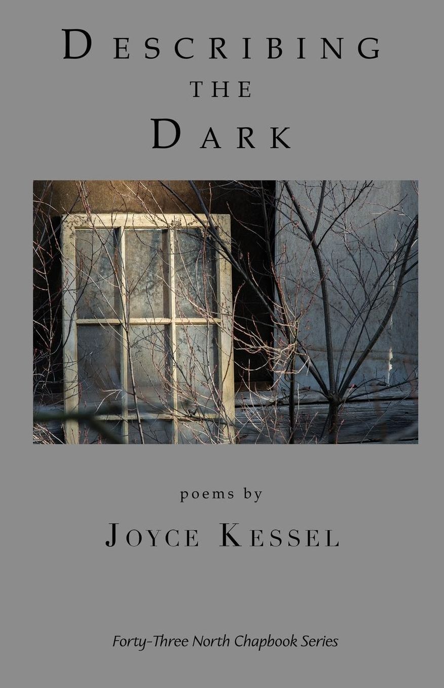 Describing the Dark