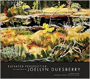 Elevated Perspective: The Paintings of Joellyn Duesberry