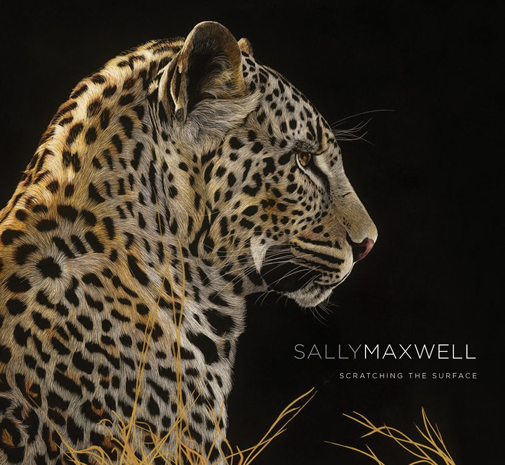 Sally Maxwell: Scratching the Surface