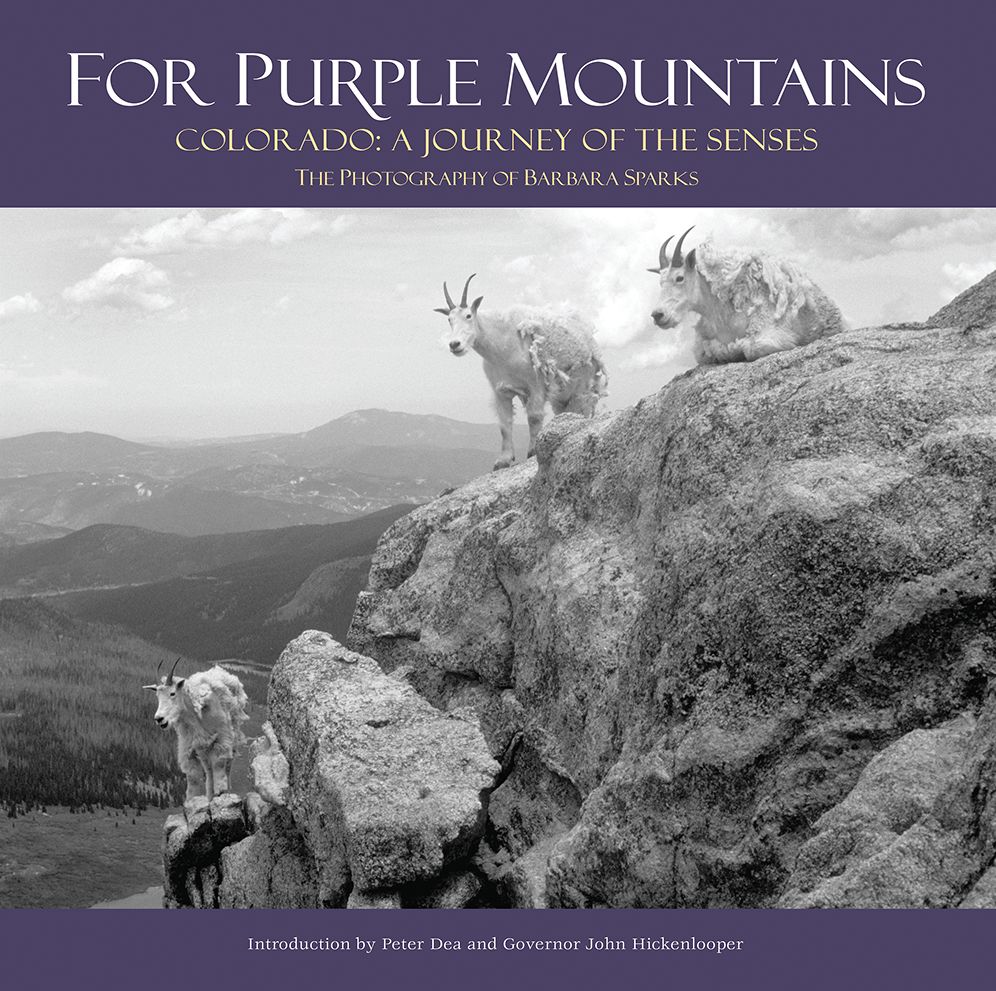 For Purple Mountains: Colorado: A Journey of the Senses