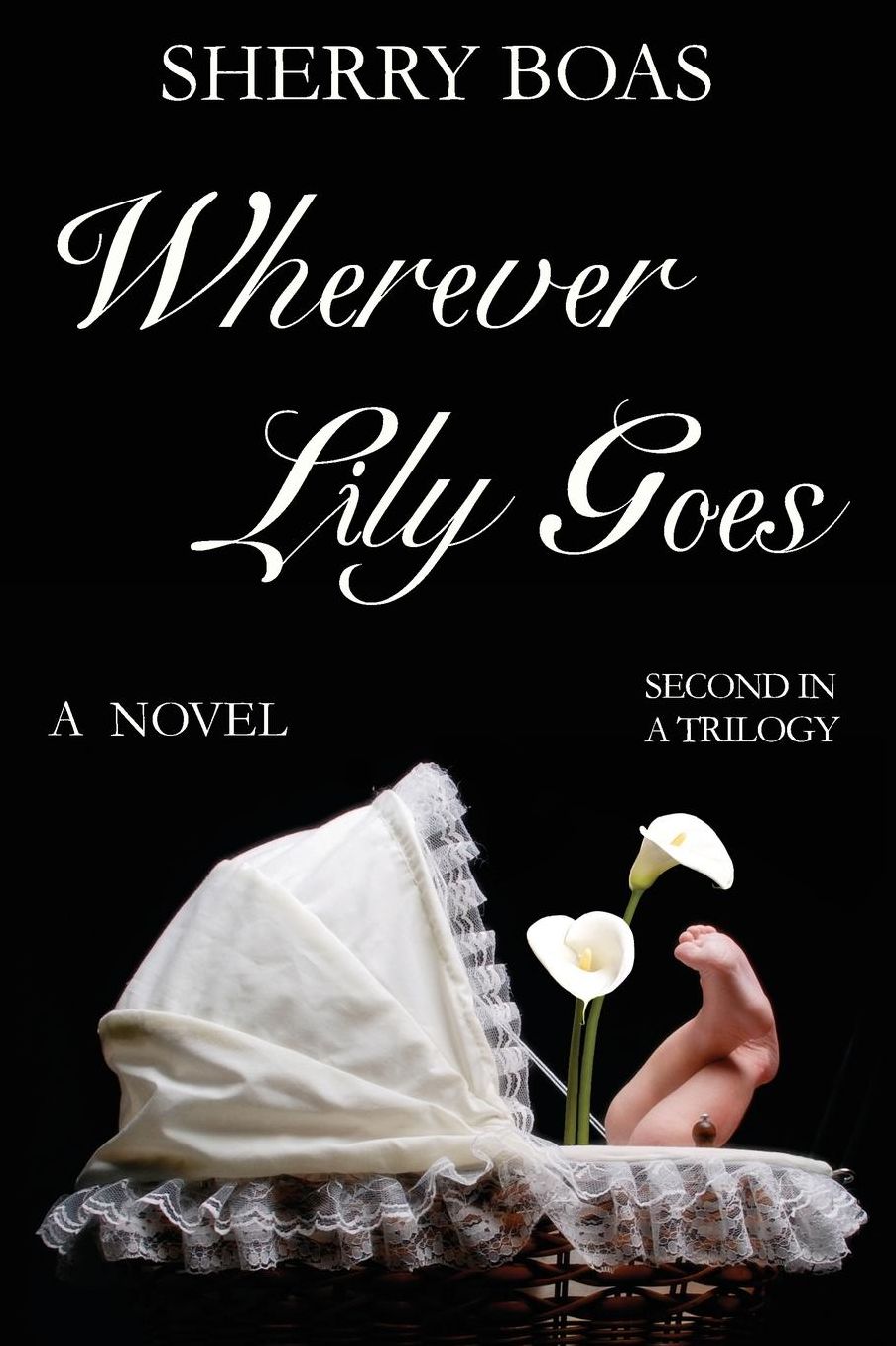 Wherever Lily Goes: A Novel: the Second in a Trilogy