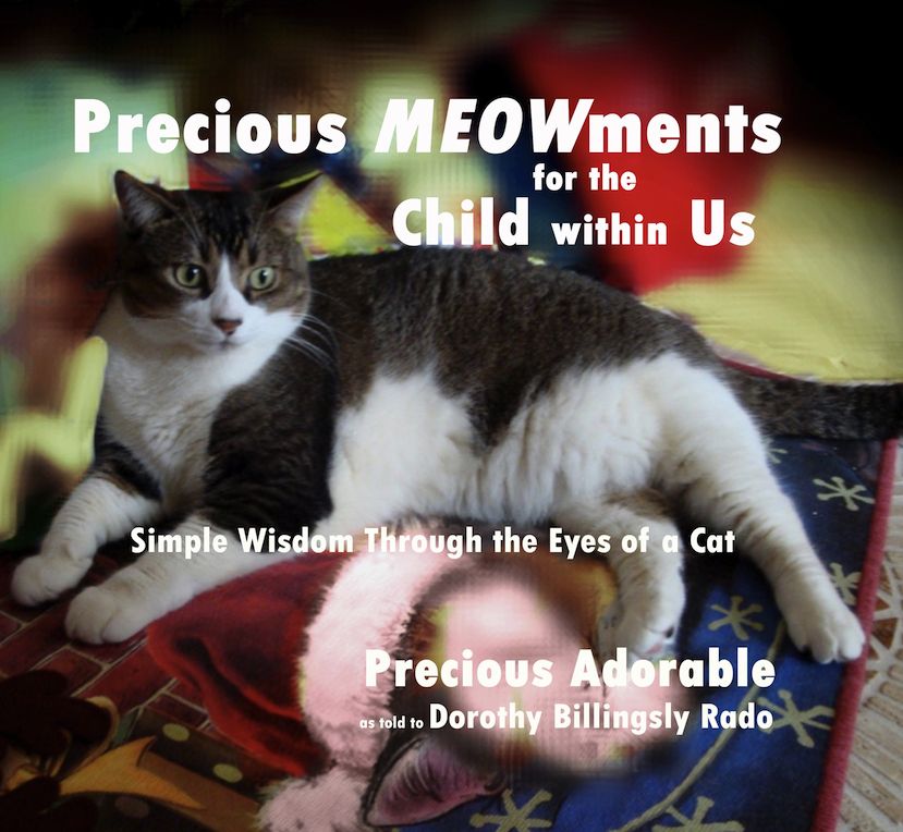 Precious MEOWments for the Child Within Us: Simple Wisdom Through the Eyes of a Cat