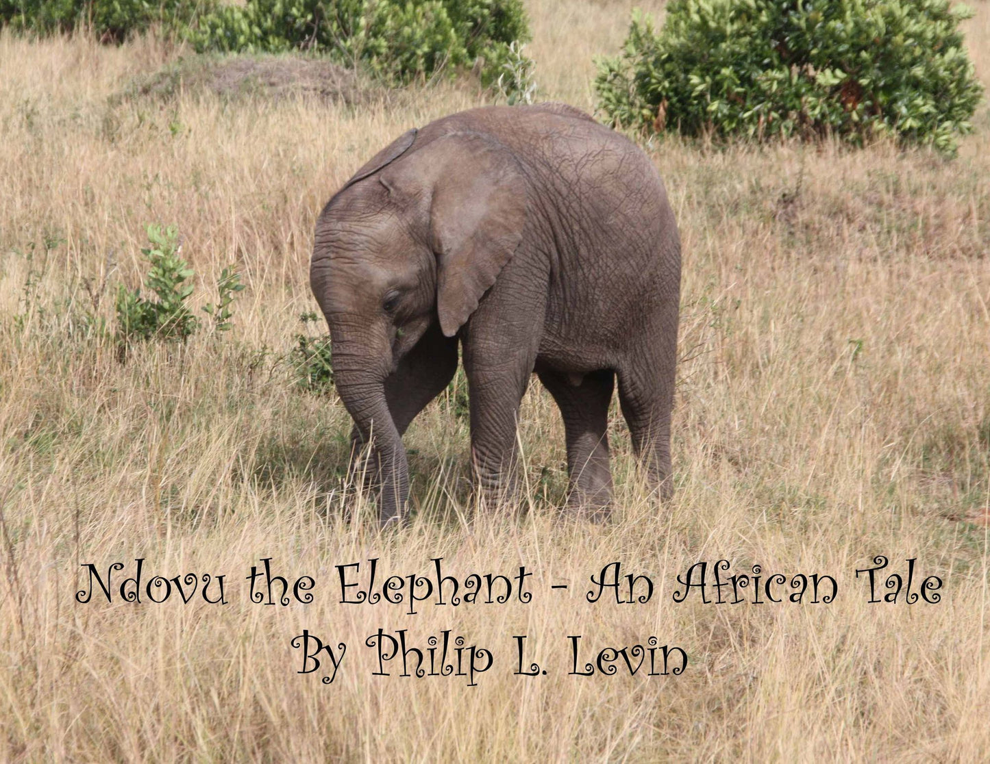 Ndovu The Elephant: An African Tale