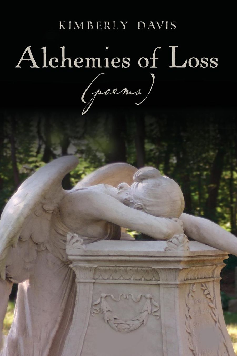 Alchemies of Loss (poems): Featuring "Alchemy," Winner of the 2009-2010 James Wright Poetry Award