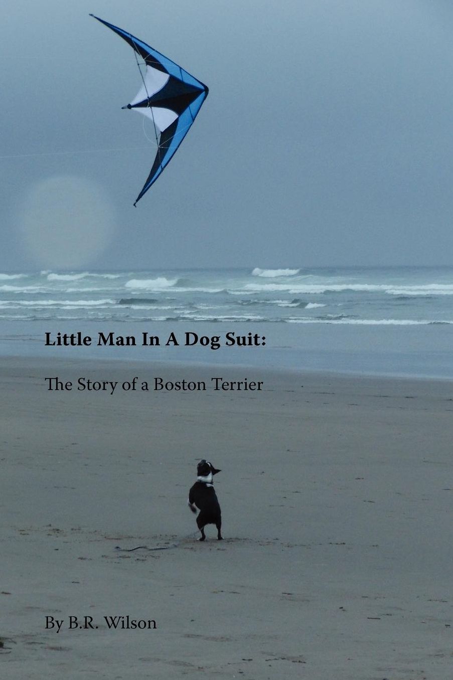 Little Man In A Dog Suit