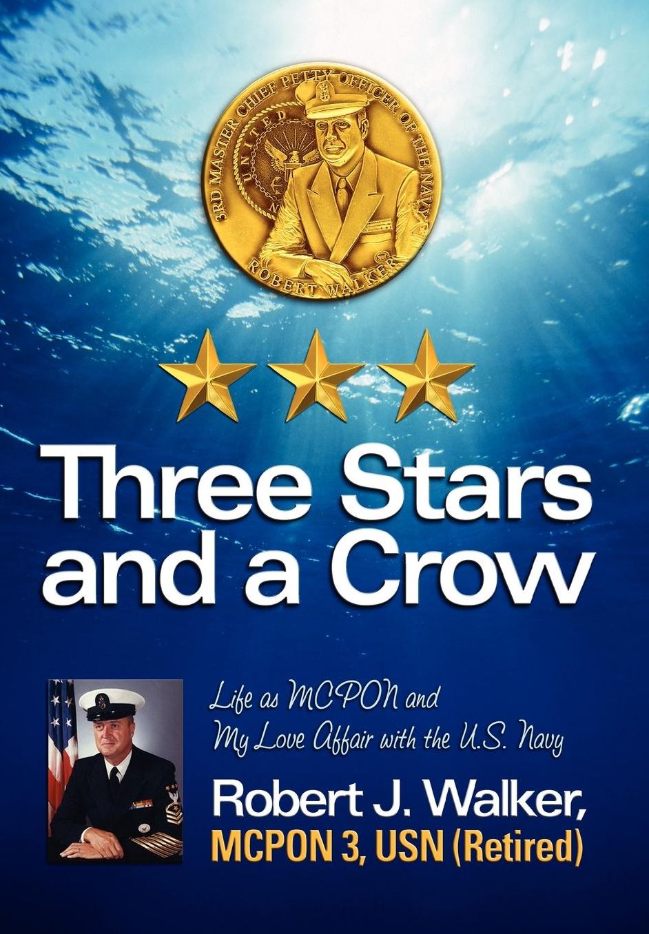 Three Stars And A Crow