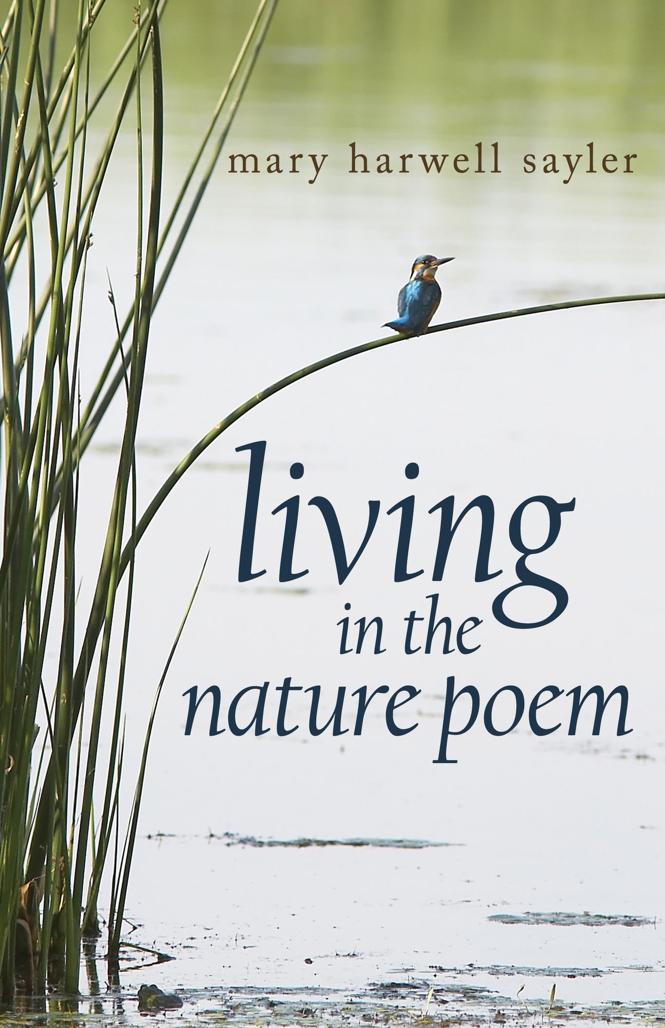 Living in the Nature Poem