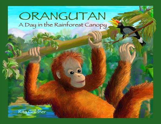 Orangutan: A Day in the Rainforest Canopy