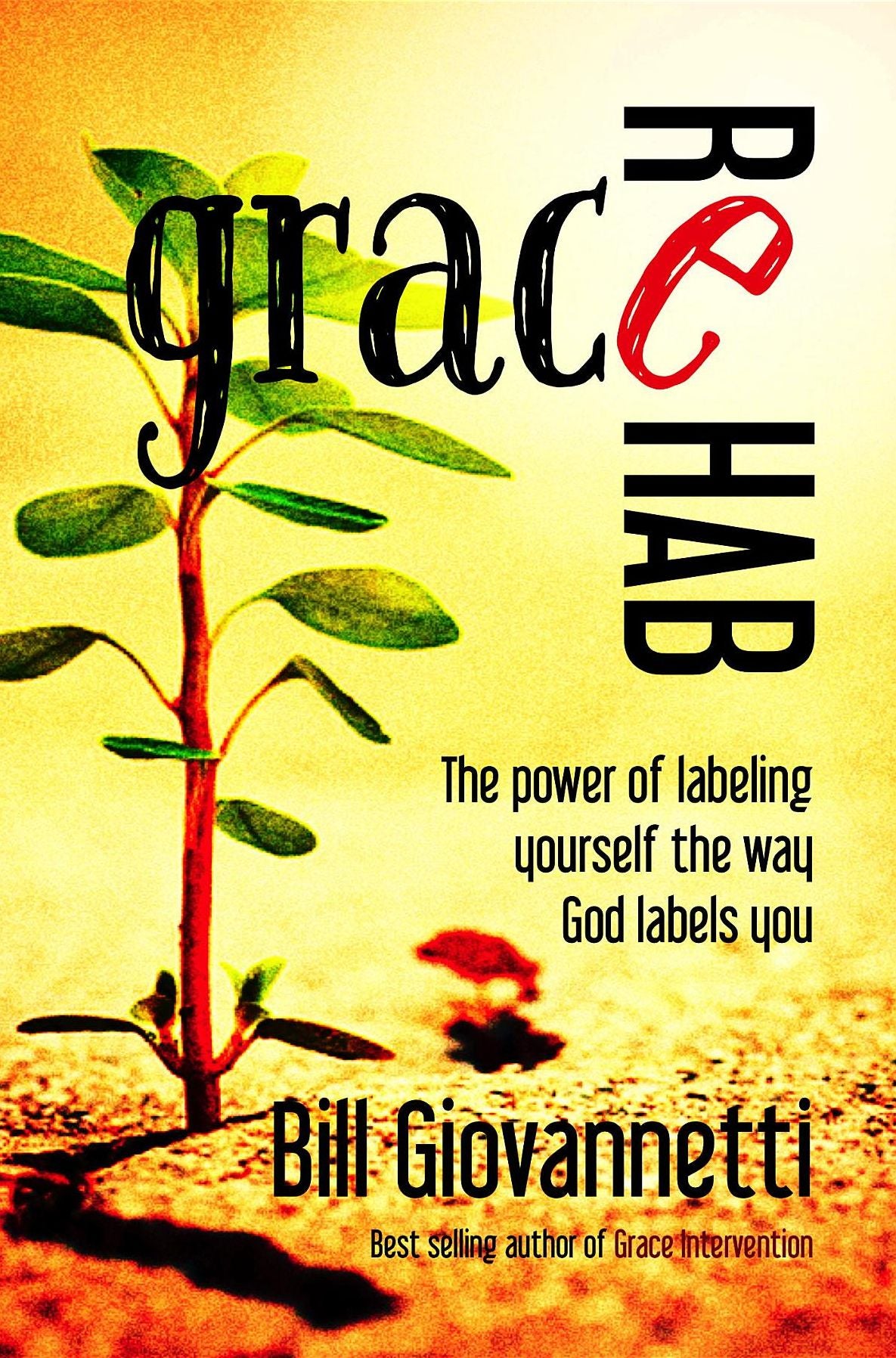 Grace Rehab: The Power of Labeling Yourself the Way God Labels You