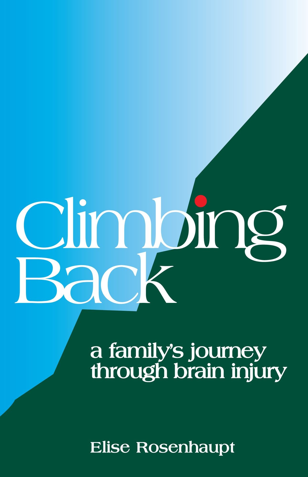 Climbing Back: A Family's Journey through Brain Injury