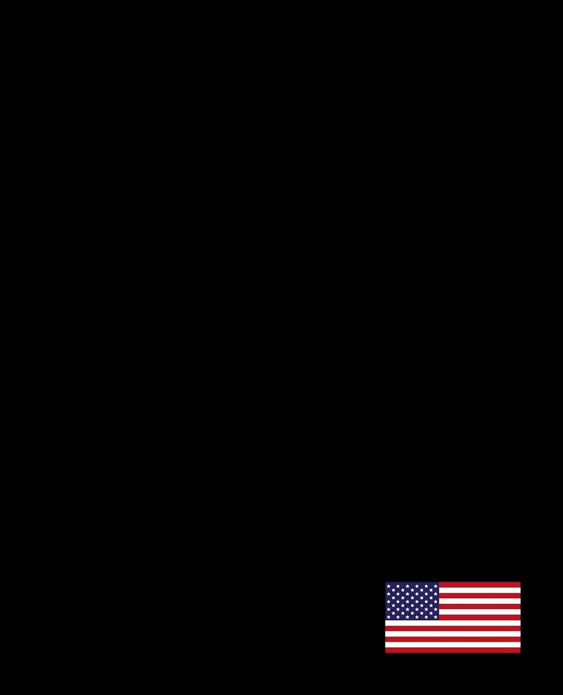 U.S. Flag Journal: (Blank/Lined)