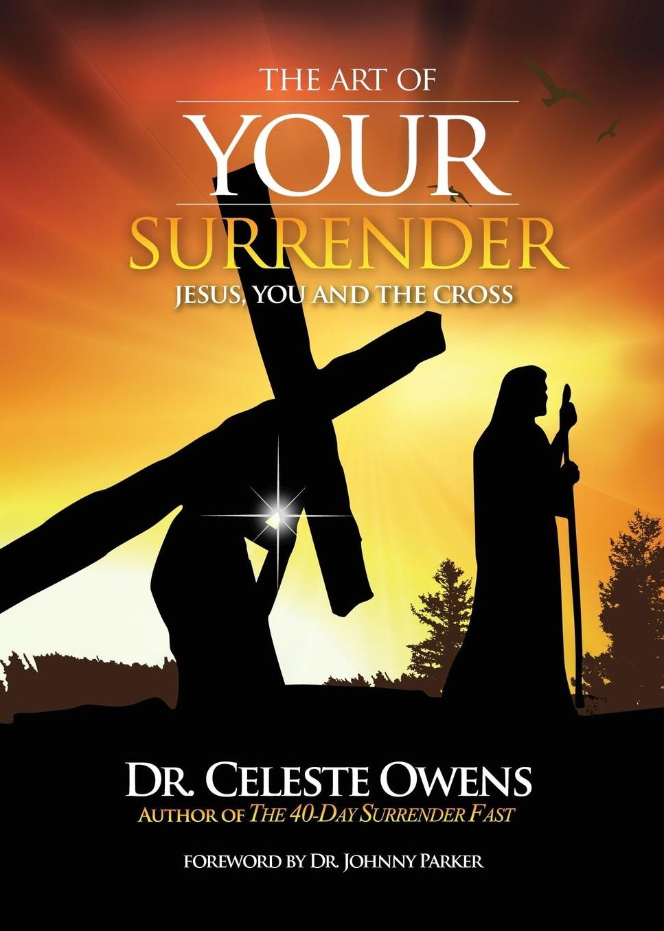 Transparent Faith: Lessons Learned from the Plan of Faith