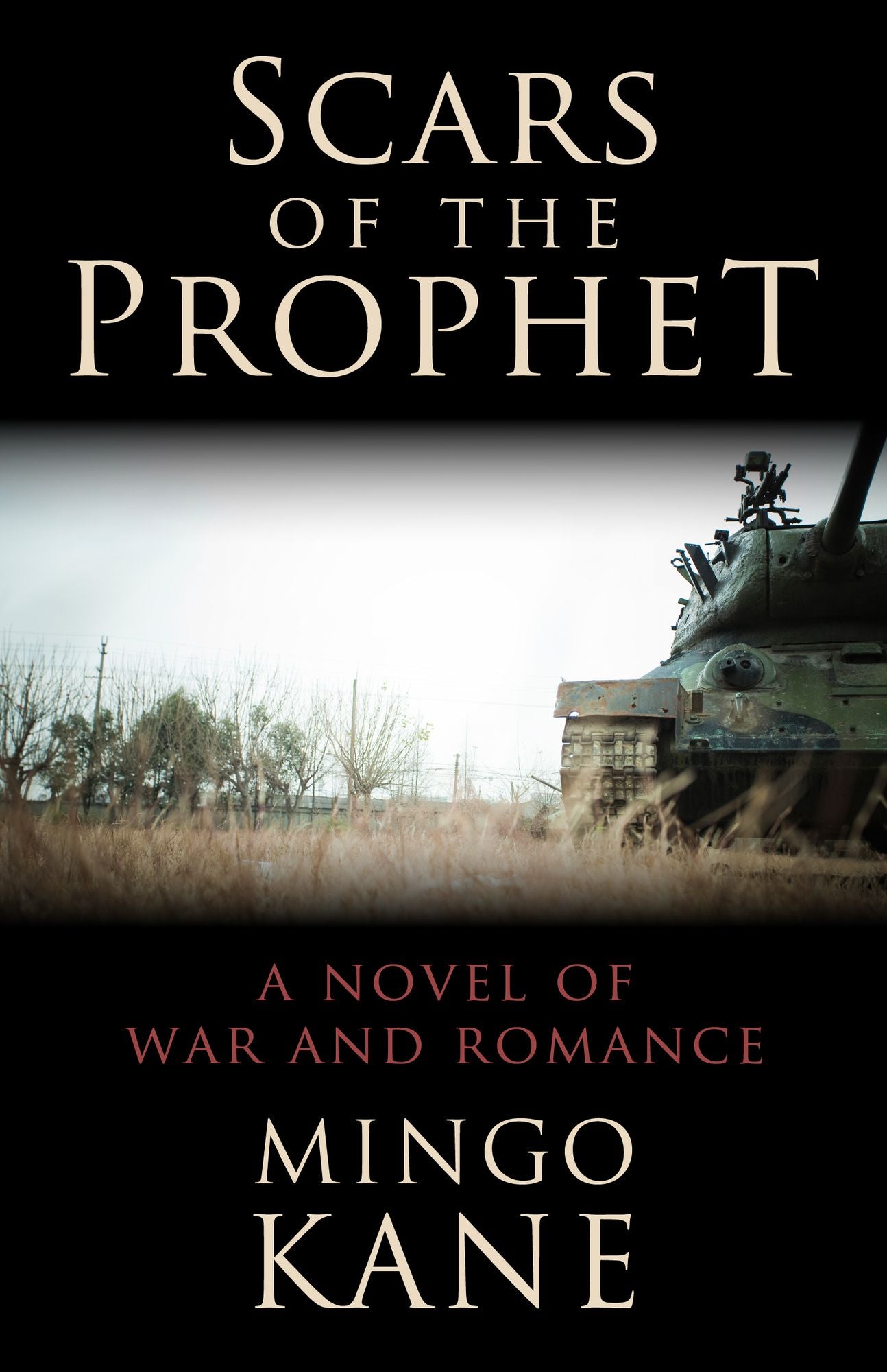 Scars of the Prophet: A Novel of War and Romance