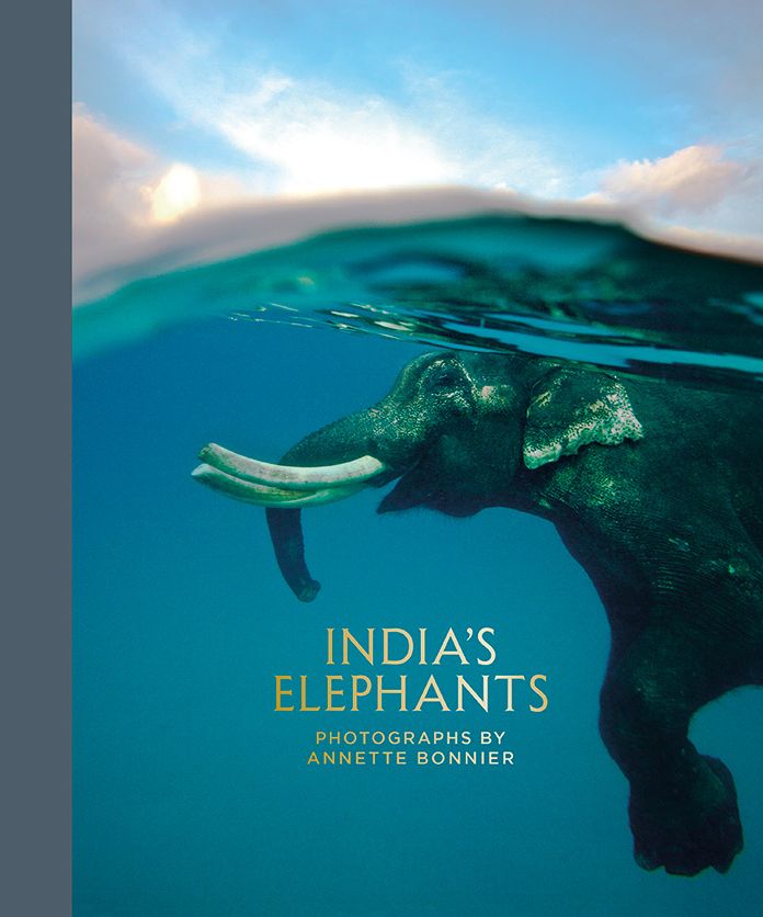 India's Elephants