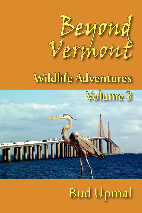 Beyond Vermont, Wildlife Adventures, Vol 3