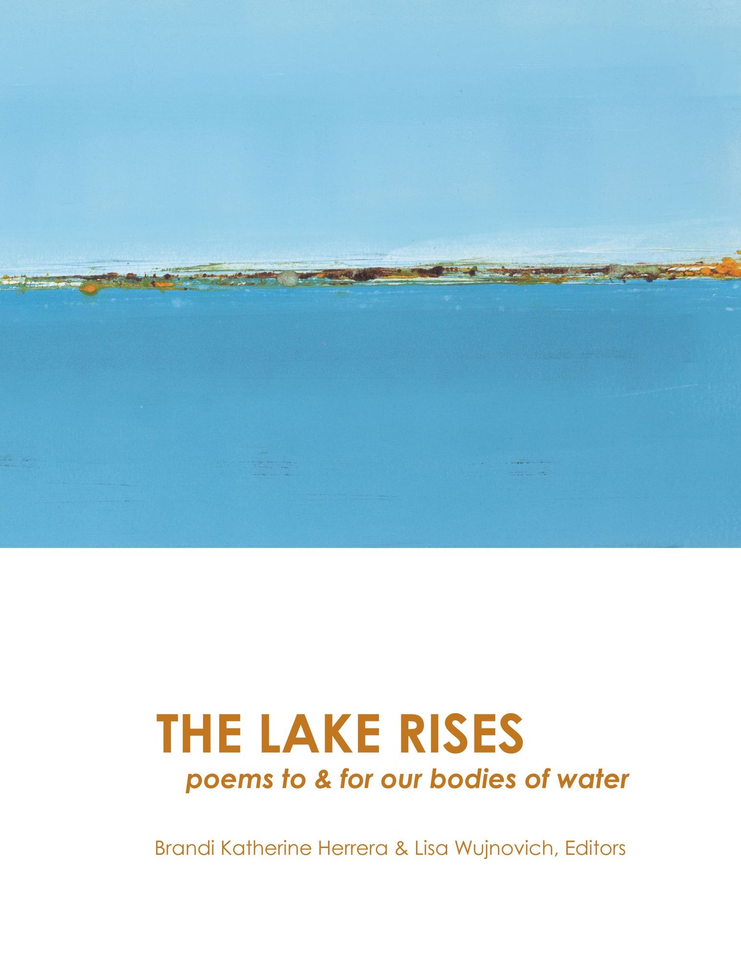 The Lake Rises: poems to & for our bodies of water