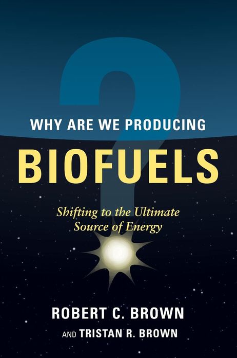 Why are We Producing Biofuels?: Shifting to the Ultimate Source of Energy