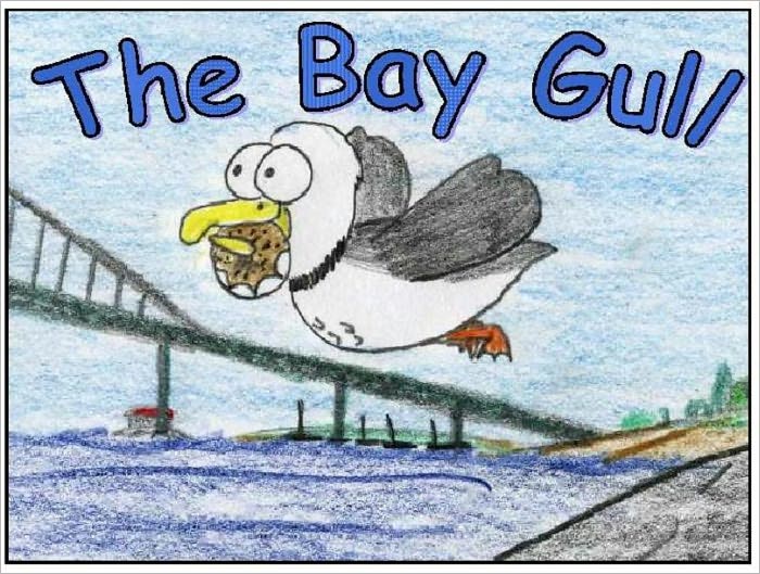 The Bay Gull